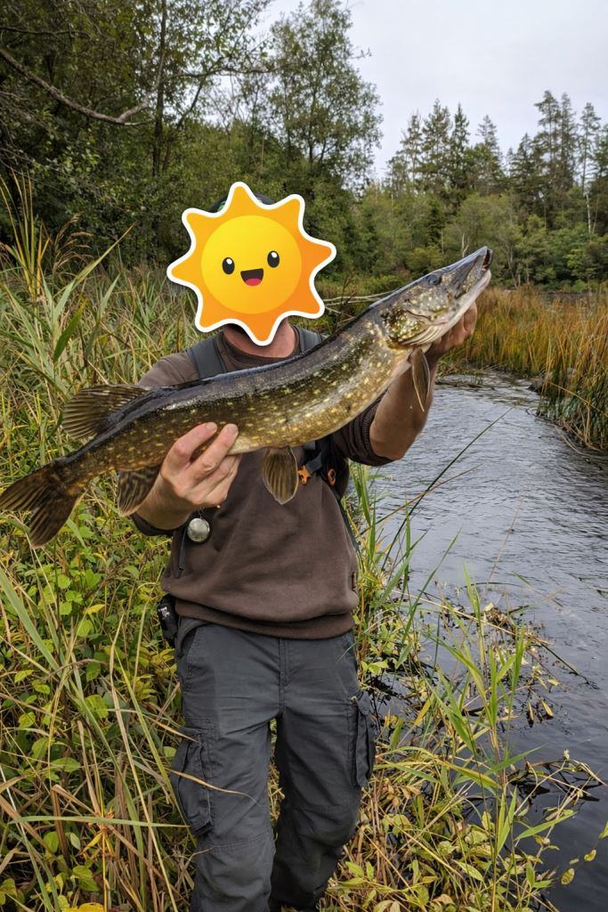 Snoek gevangen in de omgeving van het huisje