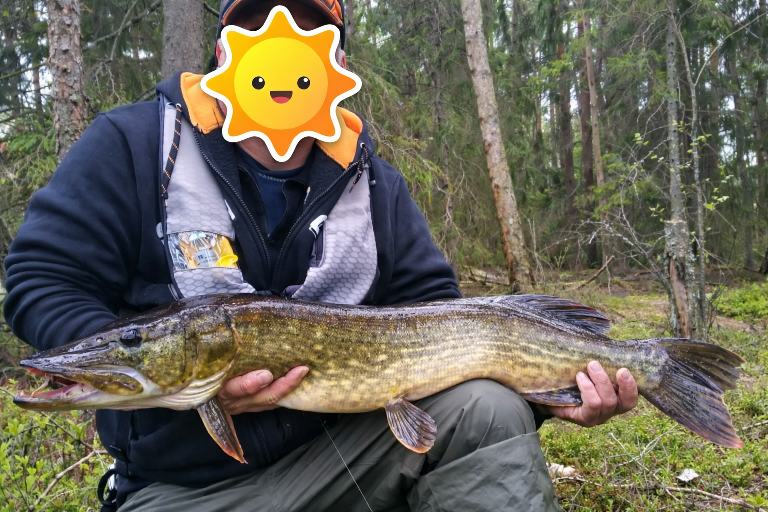 Snoek gevangen in de omgeving van het huisje
