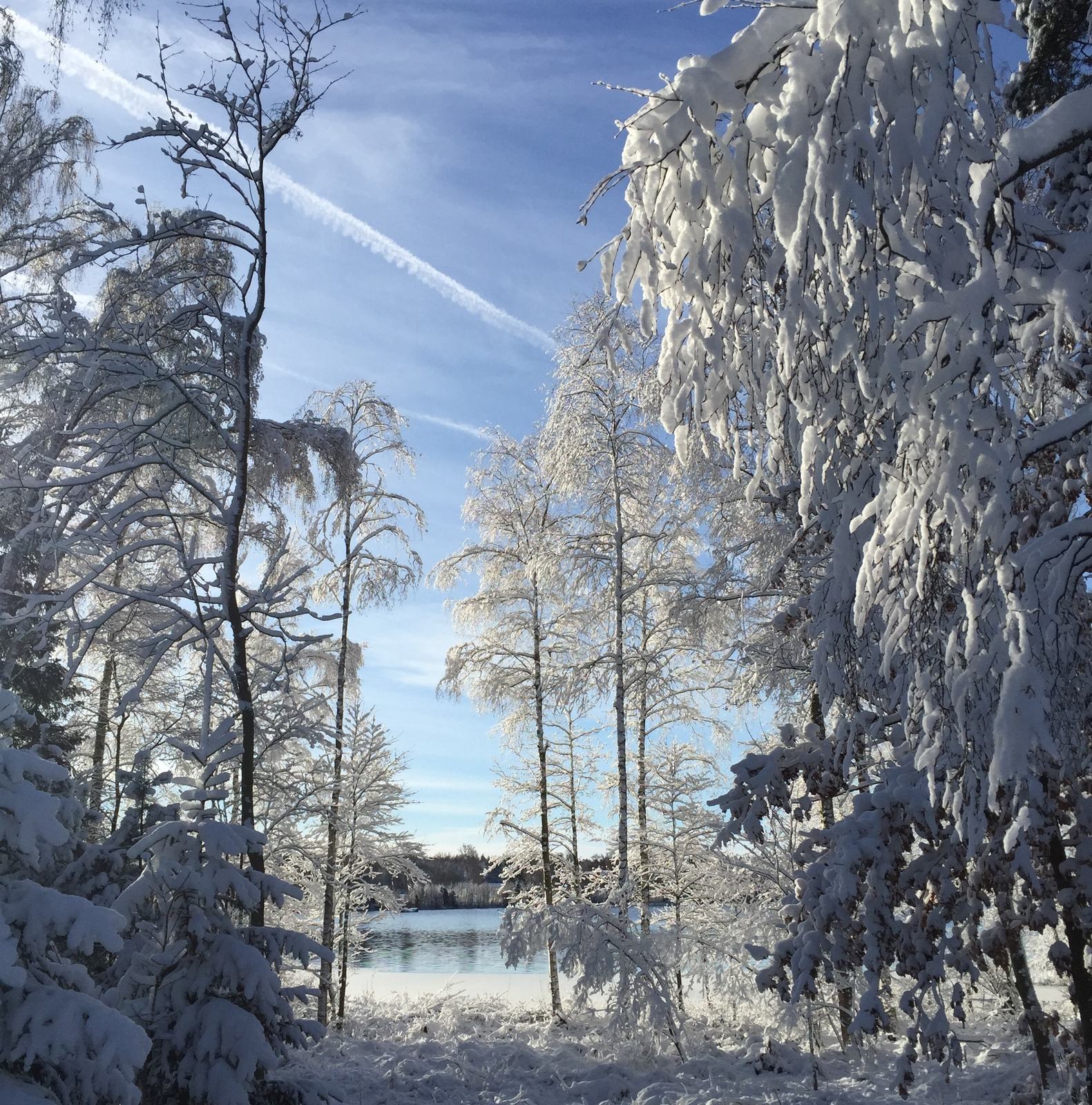 Uitzicht over het meer in de winter